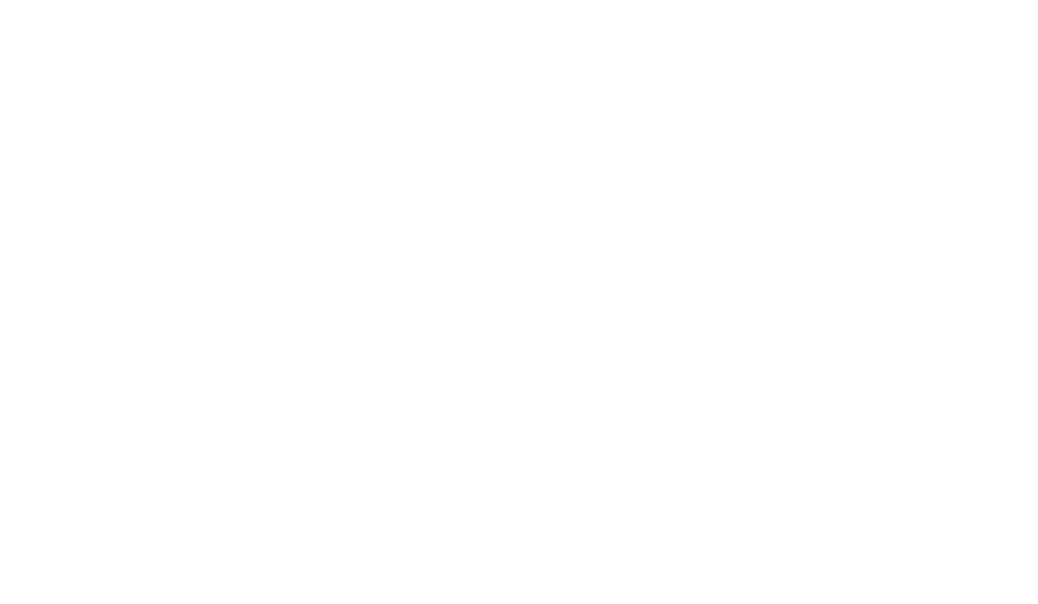 Logo-KG-SORENSEN-branco.png